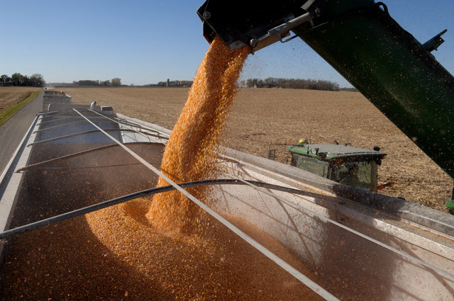 A number of ethanol plants have changed their corn-buying habits as a result of current market conditions. (DTN/Progressive Farmer file photo by Jim Patrico)