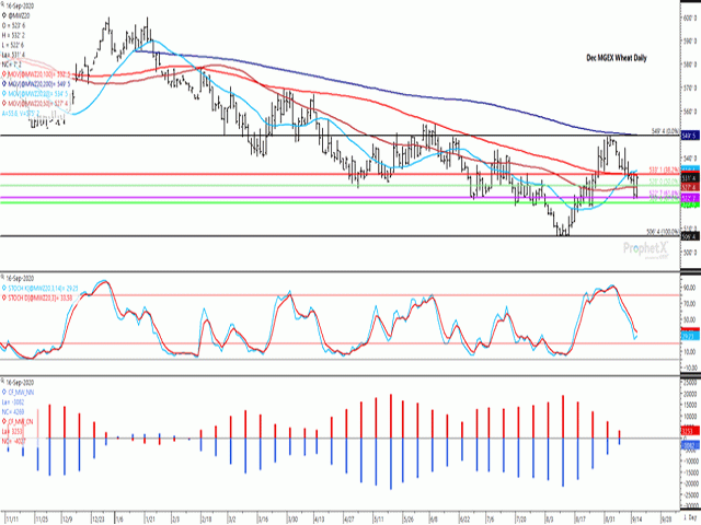 December spring wheat achieved its first higher close in nine sessions Wednesday. Support was found at the 61.8% retracement of the move from the August low to September high, along with the contract&#039;s 50-day moving average. The lower study shows the net-long futures position held by commercial traders (red bars) and the net-short futures position held by noncommercial traders (blue bars) drifting to neutral over the past four weeks. (DTN ProphetX chart)