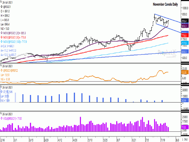 November canola trade has formed a bullish flag pattern on its daily chart. The brown line on the first study signals a bullish inverse in the Nov/Jan spread, closing at $15.50/mt. The blue histogram bars in the second study shows a modest 5,059-contract net-long position as of July 20. (DTN graphic by Cliff Jamieson)