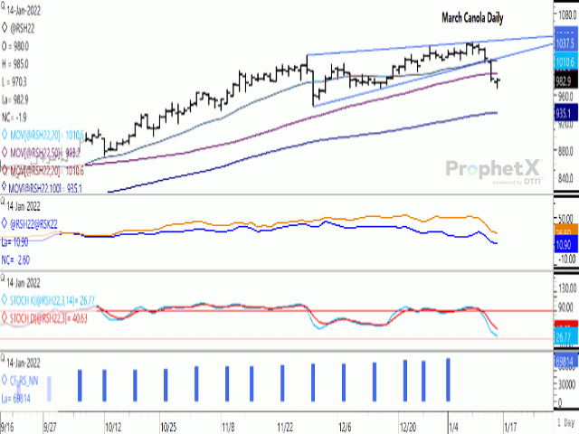 March canola closed lower for a fifth day, although reached positive territory in late-session trade to end $1.90/mt lower, after bouncing from mid-December lows. The first study shows the March/May and May/July spreads weakening during the week, but continue to reflect a bullish inverse. An addition to the blue bars on the lower study would show the noncommercial net-long position increasing to 74,055 contracts as of Jan. 11, the largest on record. (DTN ProphetX chart)