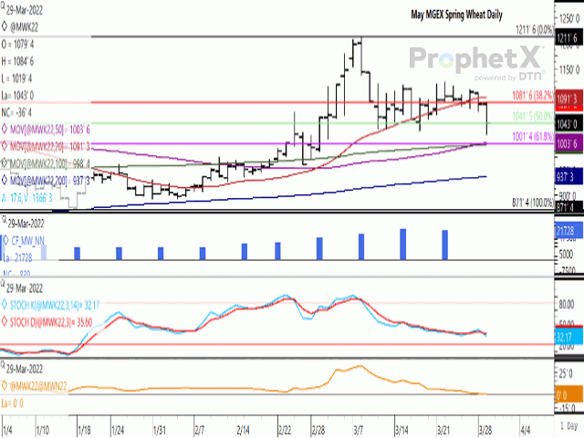May MGEX spring wheat dipped towards early March lows on Tuesday. A combination of the 61.8% retracement level, and the 50- and 100-day moving averages provide technical support at $10/bu. The bars on the first study shows the noncommercial net-long position falling in the week-ending March 22. The lower study shows the May/July spread weakening to even money. (DTN ProphetX chart)