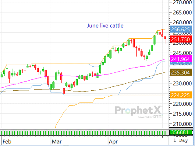 After an impressive rally which led both dressed and live cattle prices to new all-time highs, traders are anxiously waiting to see what fundamental support arises as the market's technical base is jittery. (DTN ProphetX chart)