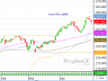 After an impressive rally which led both dressed and live cattle prices to new all-time highs, traders are anxiously waiting to see what fundamental support arises as the market's technical base is jittery. (DTN ProphetX chart)