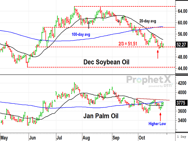 After three months of trading lower, the two most-produced sources of vegetable oil are showing signs of support with possible bullish implications (DTN ProphetX chart).