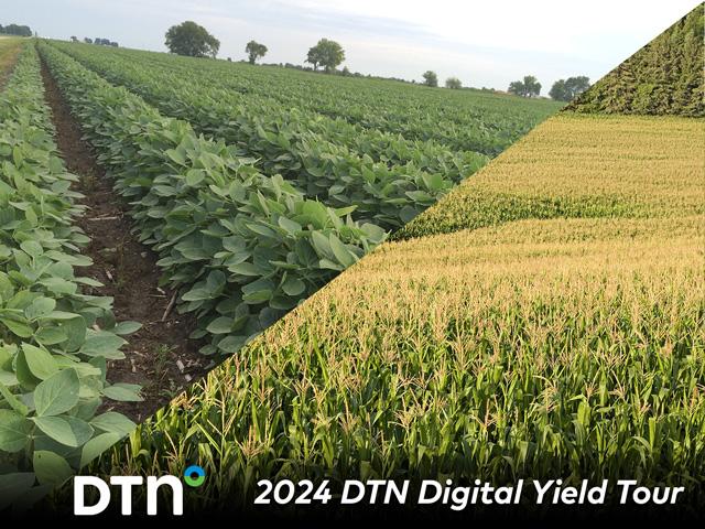 (DTN photo illustration)