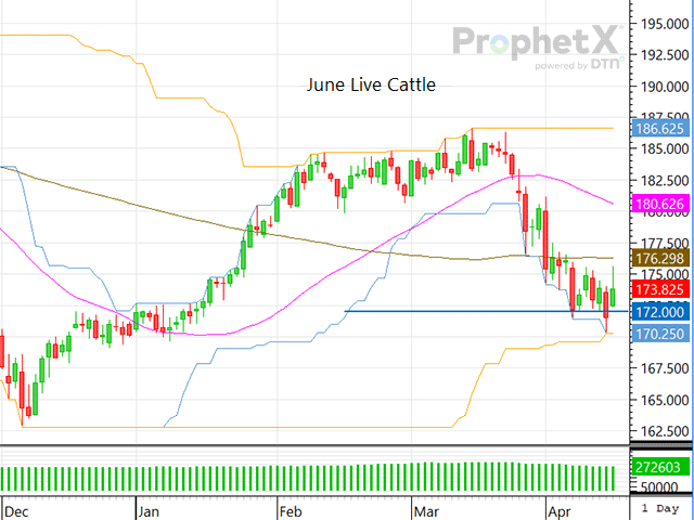 The live cattle market is hovering over its current support plane at $172, which continues to be a threshold to monitor as the market&#039;s close signals short-term direction. (DTN ProphetX chart)