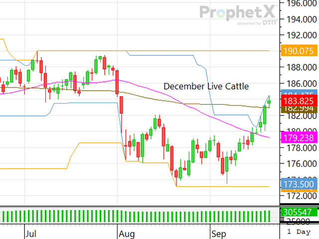 Packers and feedlot managers will again go head-to-head this week as packers will fight to keep cash prices from advancing any higher, but feedlot managers are hopeful demand will force packers to participate in this week&#039;s cash market. (DTN ProphetX chart)
