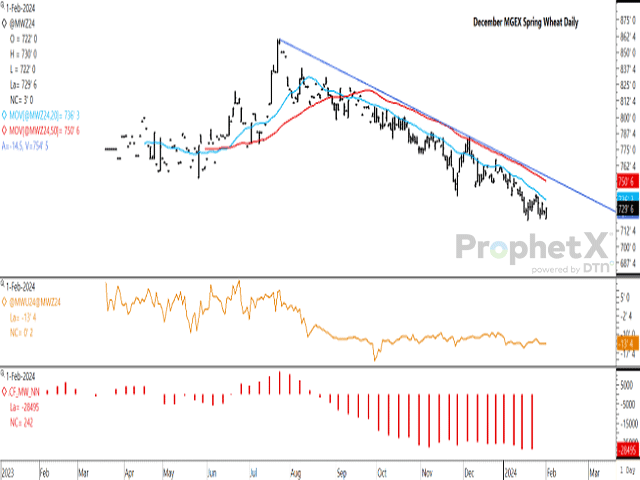 December MGEX spring wheat is attempting to bottom this week while holding above the January contract low of $7.21/bu. The first study shows the Sept/Dec futures spread strengthening to minus 13 1/2 cents, well below the five-year average of minus 5 cents. The lower study shows noncommercial traders holding close to the largest net short on record as of Jan. 23. (DTN ProphetX chart)