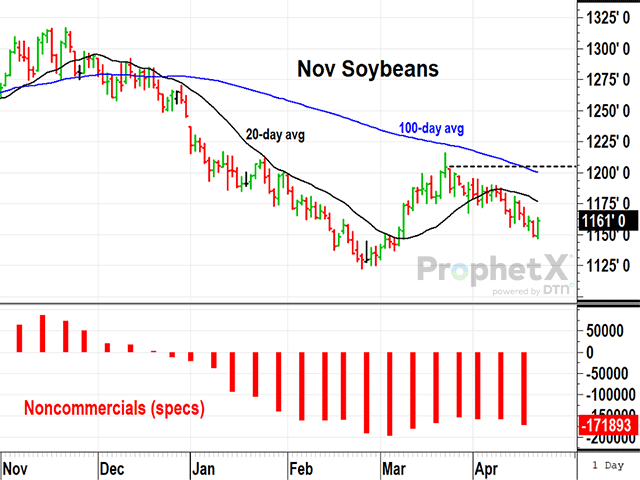As of Friday, April 19, 2024, November soybeans closed at $11.61 a bushel and are holding up fairly well, considering the top two U.S. soybean competitors are harvesting somewhere between 7.3 billion and 7.5 billion bushels (DTN ProphetX chart)