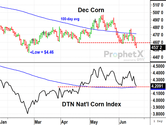 Managed futures funds are heavily net short corn and took the December contract to a new three-month low Friday, June 21. DTN&#039;s national index of cash corn prices, however, has not broken below support yet, a more sober reflection of this year&#039;s production hurdles and active demand (DTN ProphetX chart).
