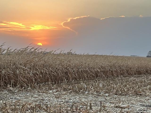 Corn harvest in southern Brazil has been slow, but next week&#039;s forecast is more promising. (DTN photo by Teresa Wells)