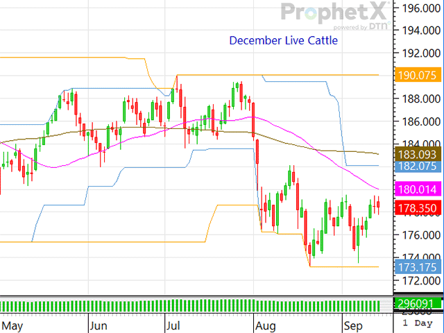 The week could be burdened with some technical pressure as later this week the monthly Cattle on Feed report will be released. (DTN ProphetX chart)