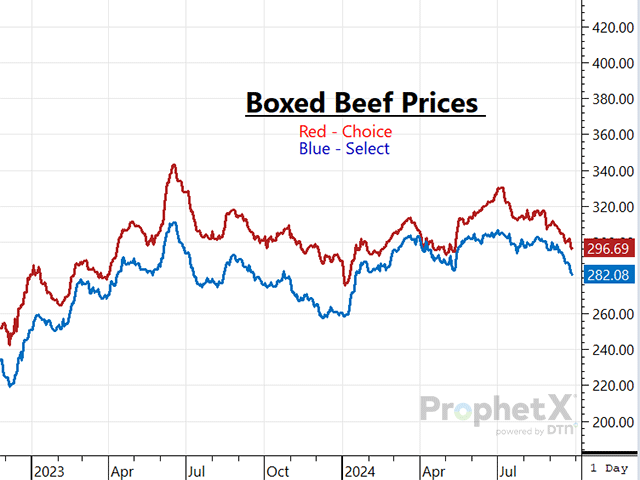 The cattle complex thrived last week, but if boxed beef prices continue to trade lower this week, cattlemen and traders may be hard-pressed to get the market to trade higher again this week (Photo by DTN ProphetX photo).