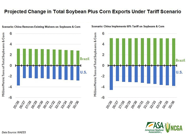 A new study from corn and soybean groups looks at what would happen if China reinstated tariffs or raised corn and soybean tariffs to 60%, matching tariffs former President Donald Trump wants to impose on China. In either case, U.S. exports fall dramatically while Argentina and Brazil sell more commodities to China every year. (Chart from analysis by the World Agricultural Economic and Environmental Services)