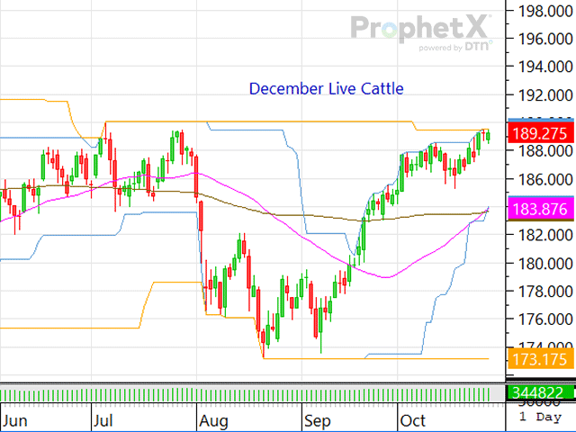 The cattle market&#039;s attitude remains incredibly strong with supportive fundamentals helping drive the complex higher. (DTN ProphetX Chart)