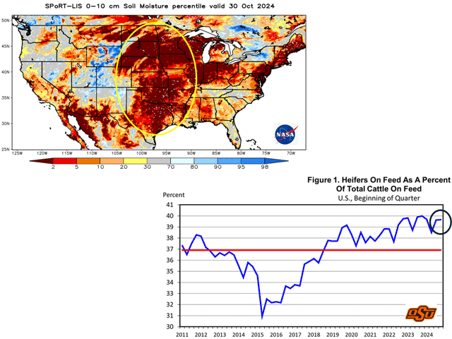 Soils across the major beef cow states are largely bone-dry. Poor grazing supply is a big reason why the percentage of heifers in U.S. feedlots remains well above the long-term average. (Cattle graphic courtesy of Derrell Peel, Oklahoma State University; dryness graphic from NASA)