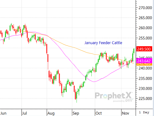 Traders have boldly supported both the live and feeder cattle contracts during the past two trading days, but with a big Cattle on Feed Report looming and the fed cattle market expected to trade lower again this week, technical support could dry up later this week. (DTN ProphetX chart)