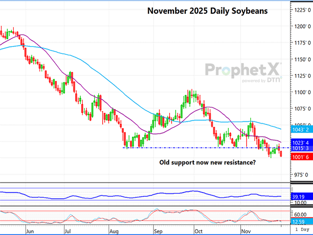 This is the November 2025 soybeans daily chart, showing the contract finally breaking down below the support area (dotted blue line). (DTN ProphetX chart)