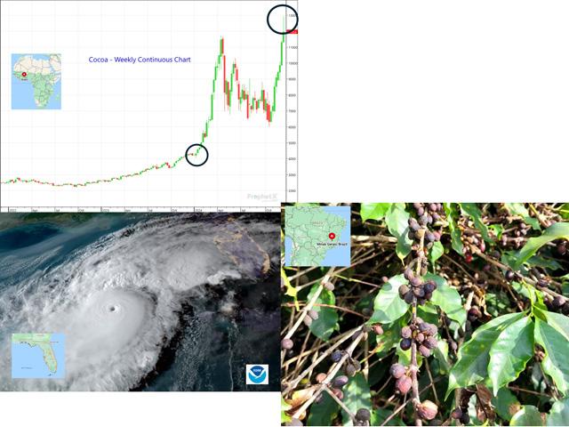Extreme crop-damaging 2024 weather events affected many of the world&#039;s soft commodity regions. Prices soared, led by cocoa which tripled in price during the year. (NOAA satellite image; Prophet X chart; photo by Jonas Ferraresso)