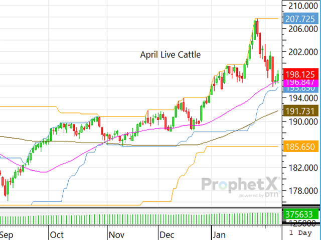 Will traders be able to keep cattle futures above the 40-day moving average if cash prices move lower? (DTN ProphetX chart)
