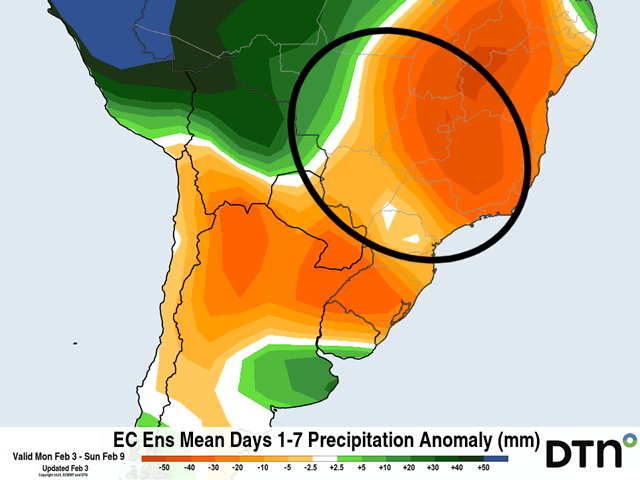 Rainfall amounts during the next week are forecast to be largely below normal for the main soybean and corn growing areas in central Brazil (circled). (DTN graphic)