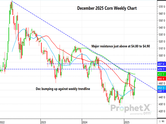 The chart above is a daily chart of December corn futures on a weekly basis. (DTN ProphetX chart)
