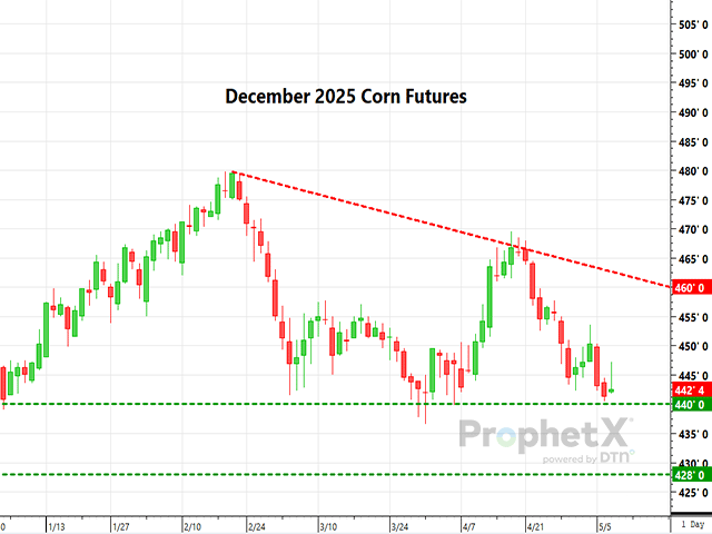December corn futures are relatively low, but there&#039;s a long growing season still ahead. (DTN ProphetX chart)