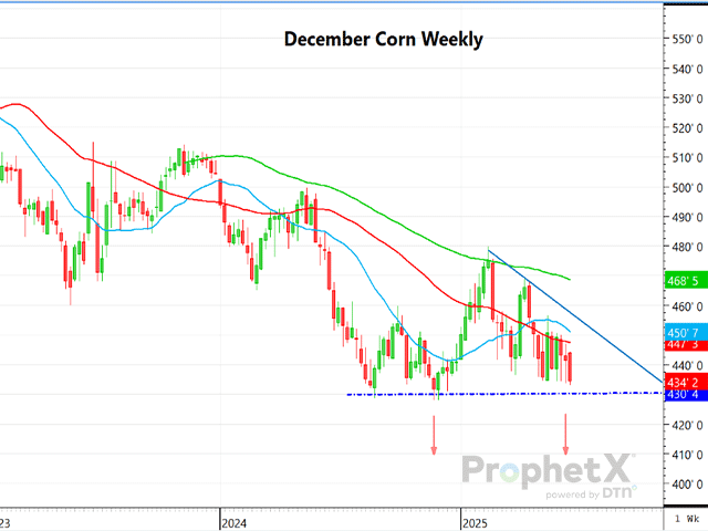 This is a daily chart of December corn futures showing the vulnerable support area and little below that. (DTN ProphetX chart)