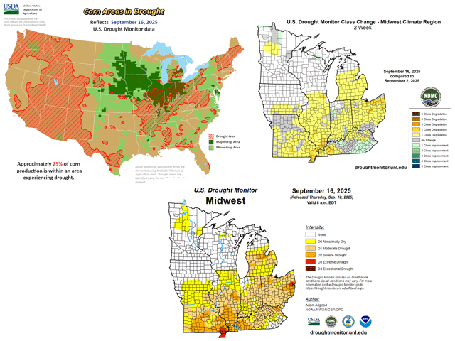 Dryness and drought in the Midwest on the mid-September U.S. Drought Monitor results in a degradation of 1 to 2 categories in just two weeks. U.S. corn areas in drought have almost tripled in that time to 24%. (Drought Monitor and USDA graphics)
