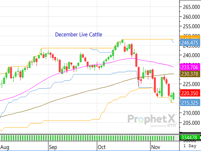 With the monthly Cattle on Feed report set to be released Friday, the cattle complex could trade steady to somewhat lower again this week if nothing substantial develops in the fundamental realm. (DTN ProphetX chart)