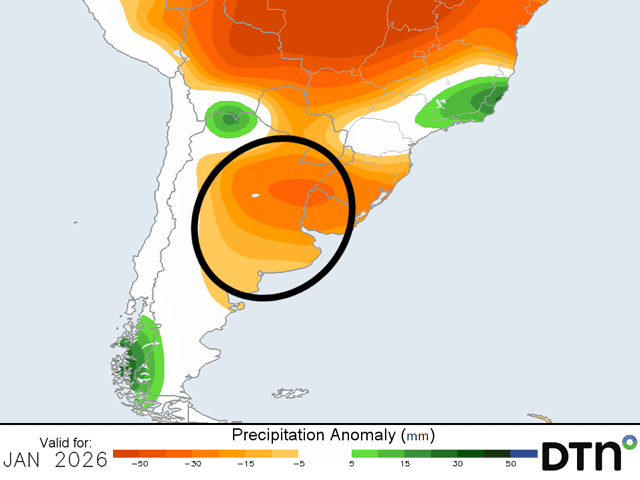 The forecast for much of Argentina calls for below-normal rainfall in January. (DTN graphic)