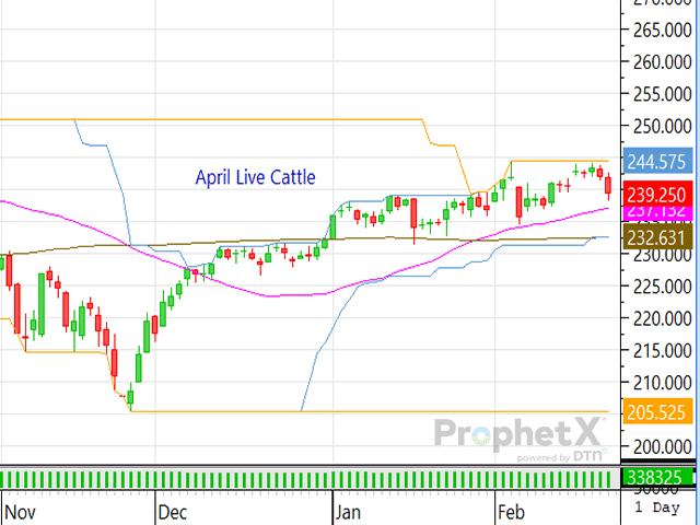 Although supplies of market-ready cattle are thin and beef demand is strong, external factors like the tension between the U.S. and Iran or the uncertainty of what's going to happen at the JBS plant in Greeley, Colorado, can all negatively affect the market even though its fundamentals are strong. (DTN ProphetX chart)