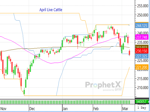 With a strike looming at the JBS plant in Greeley, Colorado, the futures complex plummeted lower on Monday. (DTN ProphetX Chart)