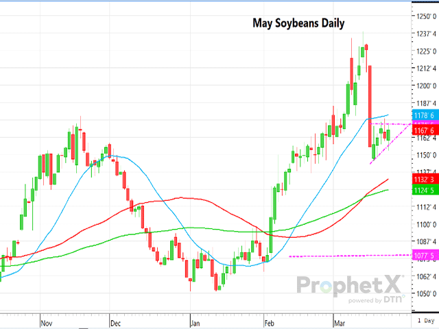 This is a daily chart of May soybean futures showing the bear flag pattern. (DTN ProphetX chart)