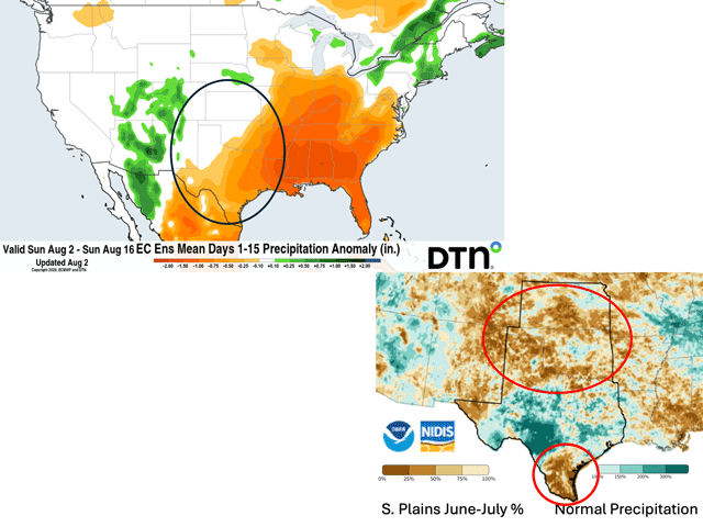 June-July precipitation was mostly well-below normal in primary Southern Plains crop areas. August forecasts offer no more than normal amounts in scattered locales during the first half of the month. (NOAA/NIDIS and DTN graphics)