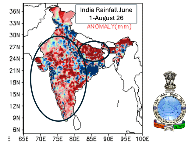 Almost all crop areas in India face rainfall deficits due to erratic monsoon activity this year. (India Meteorological Department graphic)