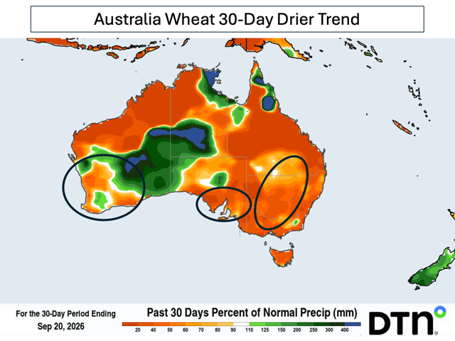 Australia's primary wheat-growing regions have turned much drier in the past 30 days. New South Wales in eastern Australia has received no more than 25% of its normal precipitation during this period. (DTN graphic)