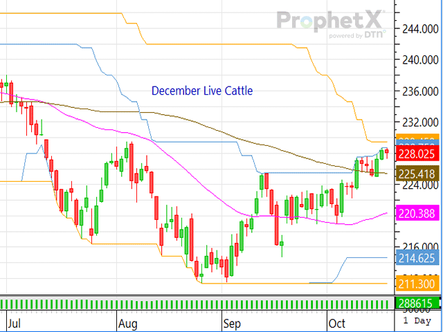 Even though there's a Cattle on Feed report scheduled for Friday, Oct. 23, there's a possibility that the market could trade higher again this week. (DTN ProphetX chart)