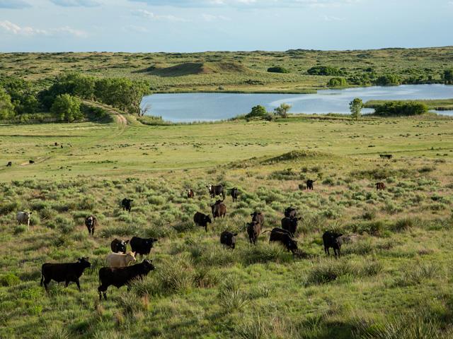 Turkey Track Ranch encompasses 26 miles of Canadian River waterfront as well as seven streams and numerous other reservoirs, springs and lakes. (Wyman Meinzer photo courtesy of Icon Global)