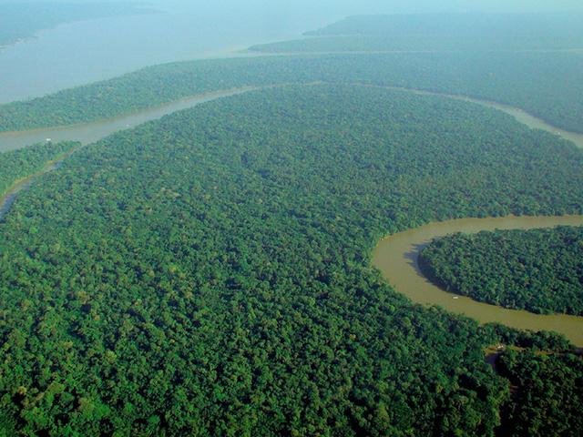 Keeping tropical forests intact is critical to preserving biodiversity and slowing climate change. (File photo by Lubasi (CC-BY-SA-2.0))    