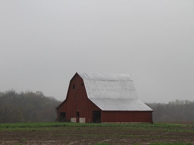 The back roads of Illinois lead to discovery of simple beauty and an attitude of gratitude for Kevin Nelson. He loved agriculture and life and reminded us to do the same. (DTN photo by Pamela Smith)