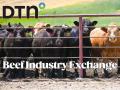 The market moves faster than it ever has before. Join us next Wednesday, June 24, for the DTN Beef Industry Exchange webinar to hear about topics including drought, rebuilding strategies and market insight to help put you in the driver's seat this upcoming year. (DTN file photo)