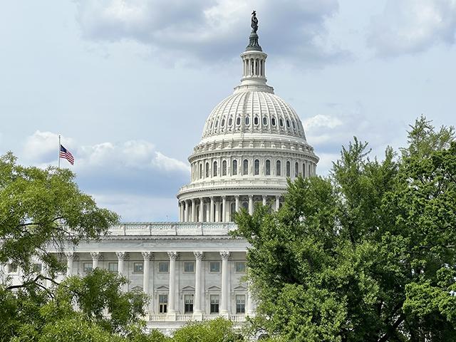 The House of Representatives on Tuesday night passed a budget resolution bill that sets up Congress to pass $4.5 trillion in tax cuts but also demands steep cuts to programs such as Medicaid and nutrition programs. (DTN file photo) 