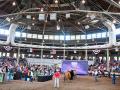 Many 4-H and FFA exhibitors from across the state bring cattle and other livestock each year to show at the Iowa State Fair. These steers were shown last week in the historical pavilion in Des Moines. (DTN/Progressive Farmer photo by Jennifer Carrico)
