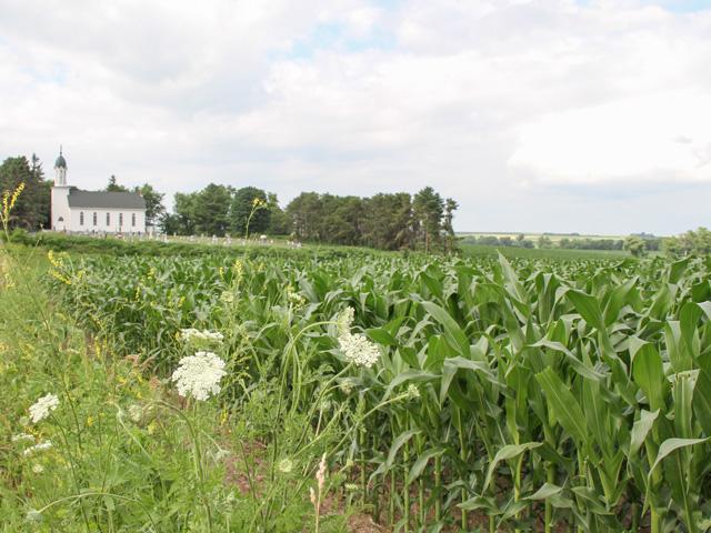 The opportunity to gather and talk about crops brings back long ago memories of talking about crops after church services. (DTN photo by Pamela Smith)