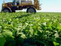 The maximum annual application rate for dicamba in tolerant soybeans and cotton has been cut in half compared to previous labels. (DTN file photo)