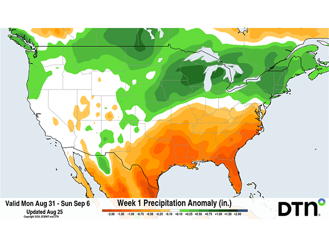 The European ECMWF model suggests an increase in precipitation coverage and amounts across the northern tier of the U.S. for next week. (DTN graphic)