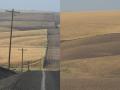 "Most beautiful" is a subjective judgment, but a drive from Walla Walla to Spokane in Washington on back roads makes a strong case for the Palouse as the most spectacular agricultural panorama. (DTN/Progressive Farmer photos by Elaine Shein)