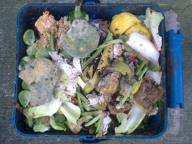 Despite efforts to solve the problem, between 30 and 40 percent of the food farmers grow is wasted rather than eaten. (Photo by Nick Saltmarsh, CC SA-BY 3.0)