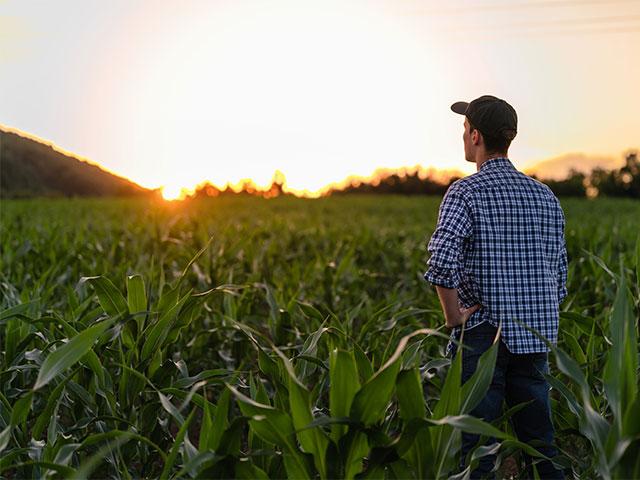 Changes in a person's behavior such as increased use of alcohol or drugs, a lack of sleep and taking less pride in personal appearance or even upkeep of the farm may be warning signs the person is facing a mental health challenge. (Getty Images photo by YorVen)